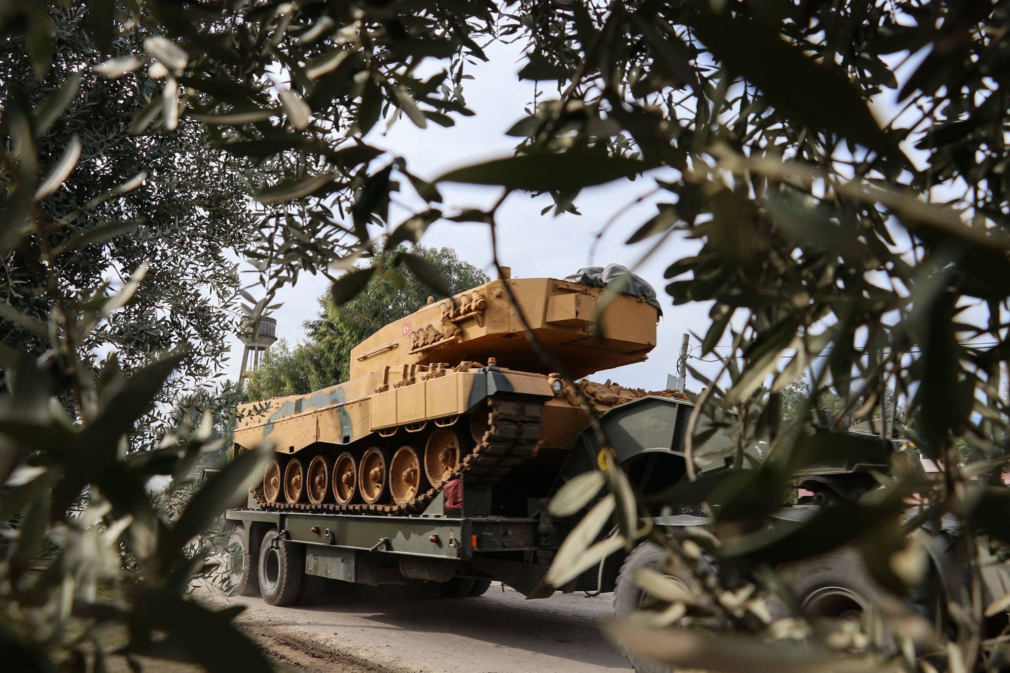 Turkish tank through olive trees