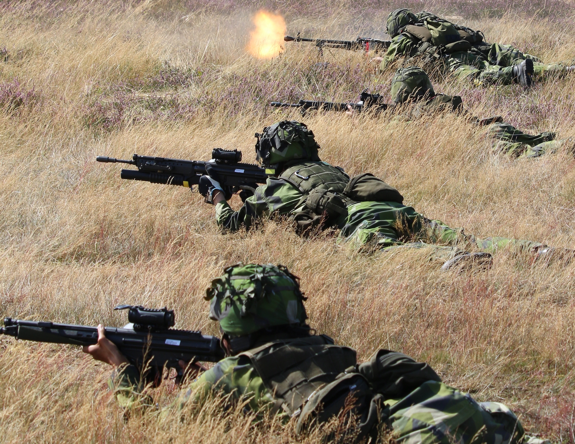 Sweden home guard soldiers