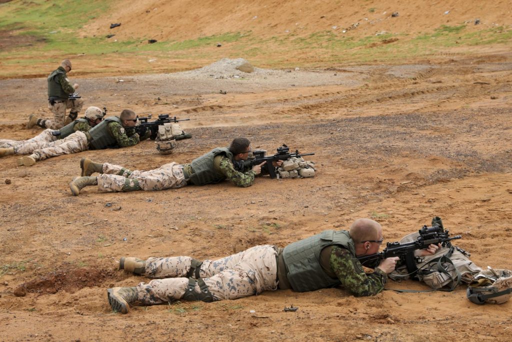 Estonian troops train in Mali