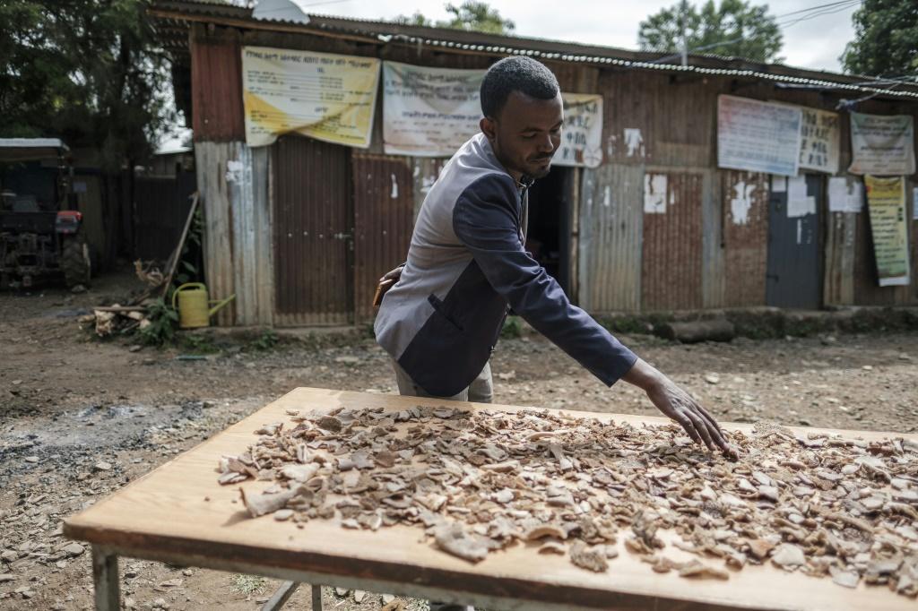 Anmut Mulat is collecting money and staples from his constituents to support the Ethiopian forces.