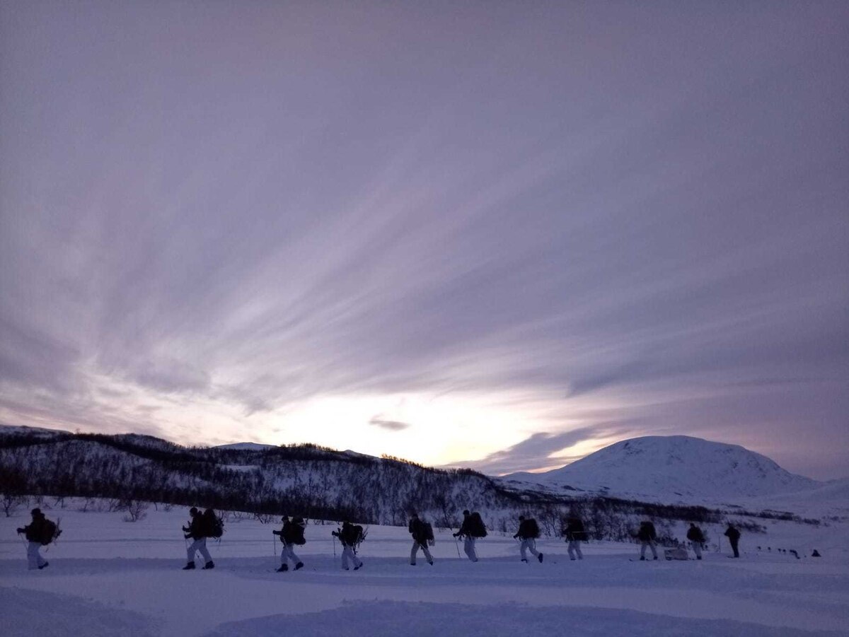 US Marines conduct multilateral training alongside the Netherlands Royal Marines, a German sea battalion and Belgian paratroopers during the Arctic Movement and Survival Course in Norway on Feb. 21, 2019.