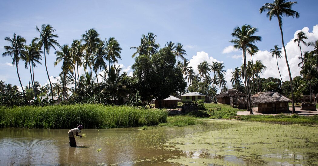 File photo of Palma, Mozambique