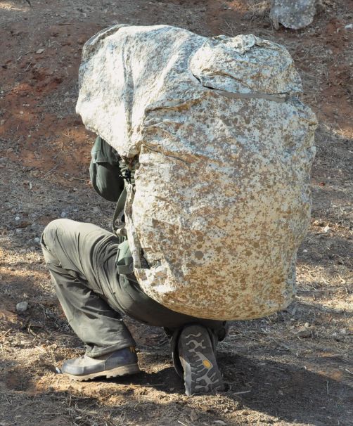 camouflage sheet