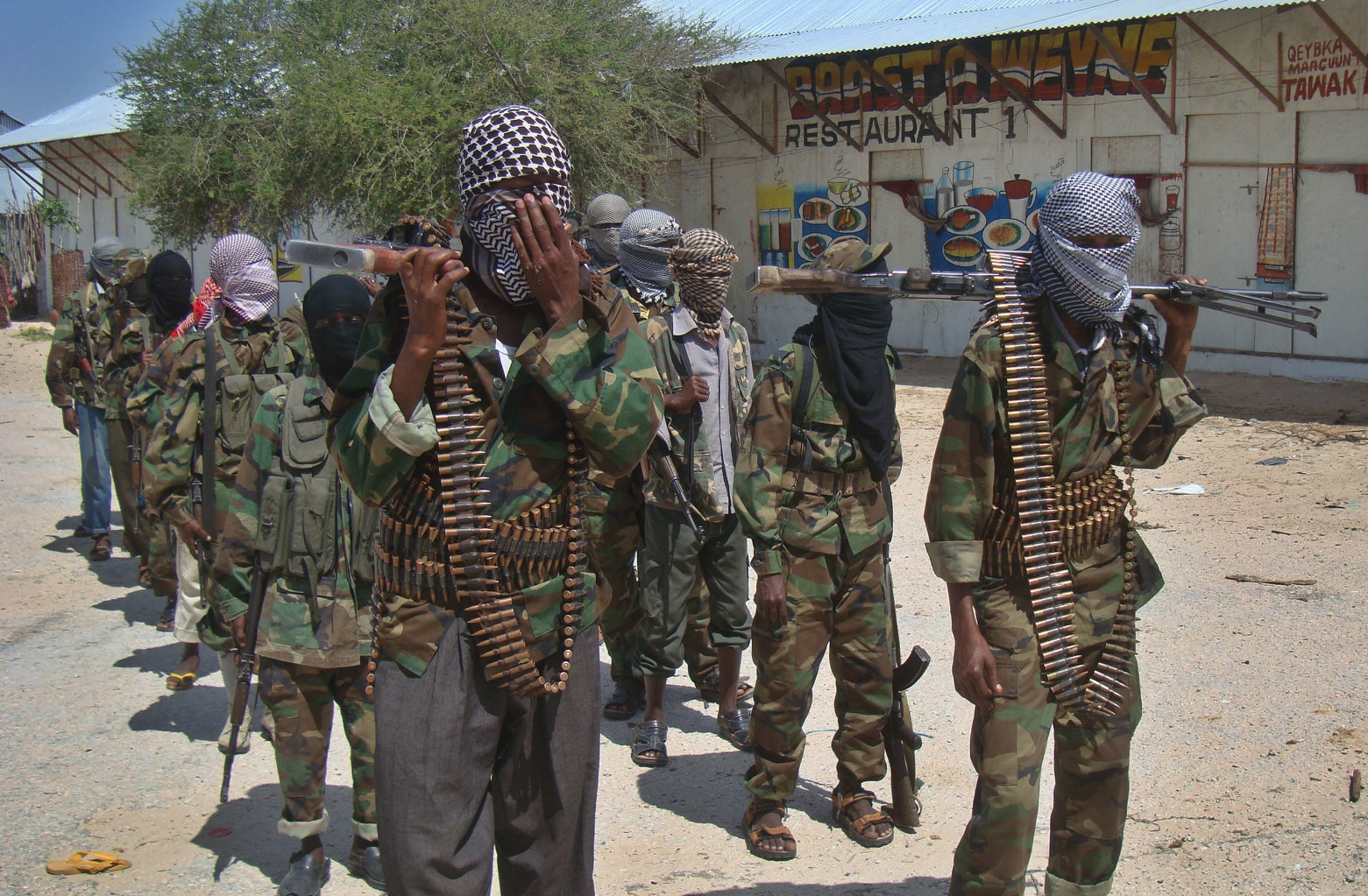 Al-Shabab militants
