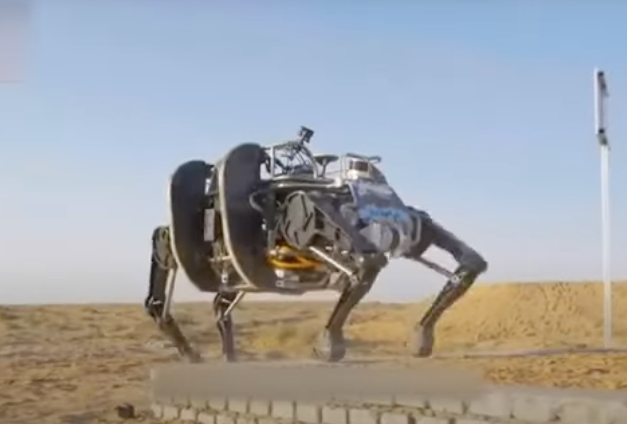 China's quadruped robot