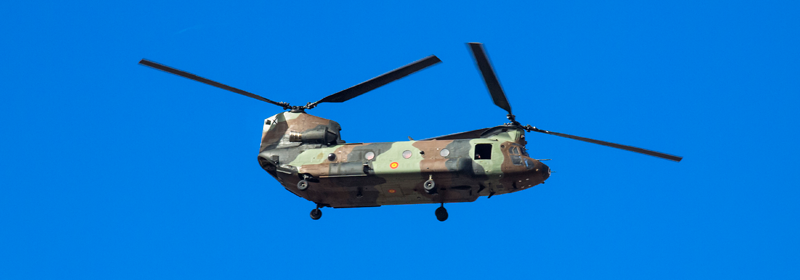 Chinook