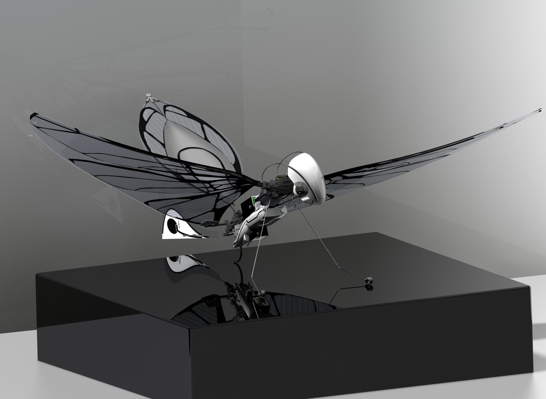 meta-fly