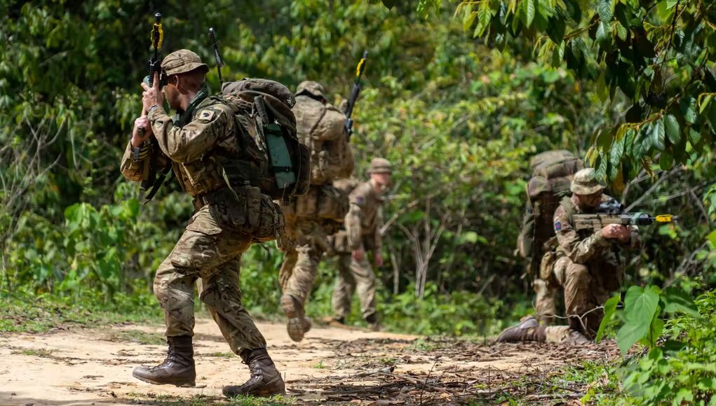 Jungle warfare training