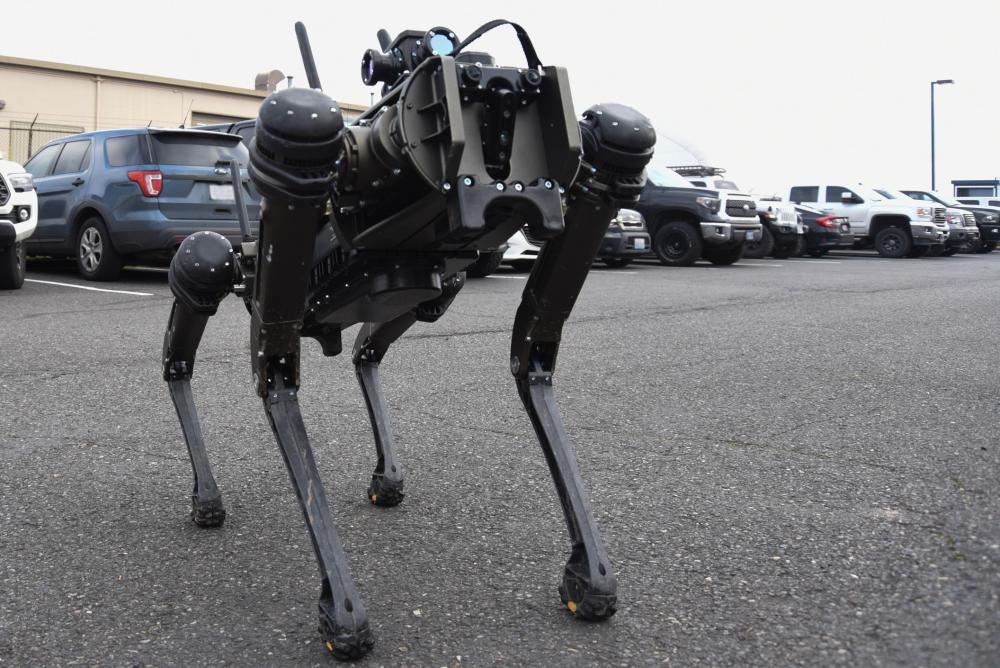 Robot dog
