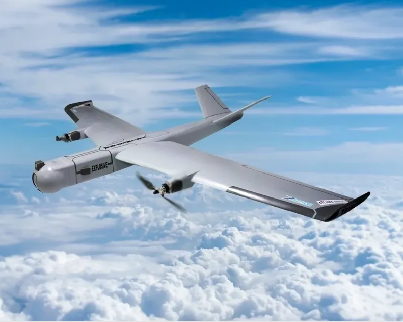 Loitering munition