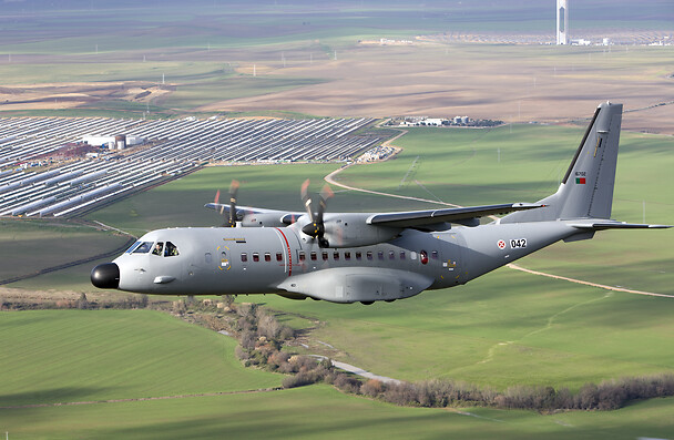 C295M