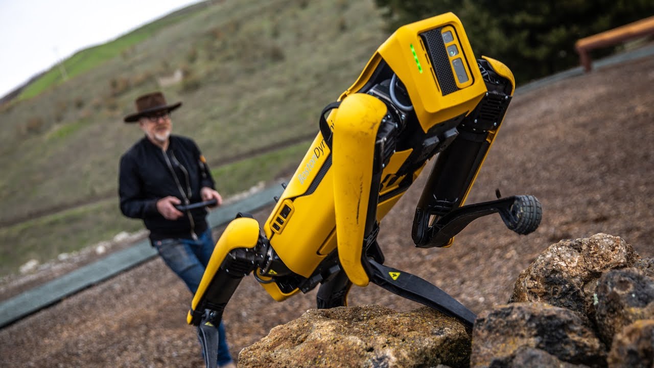 Spot robotic dog
