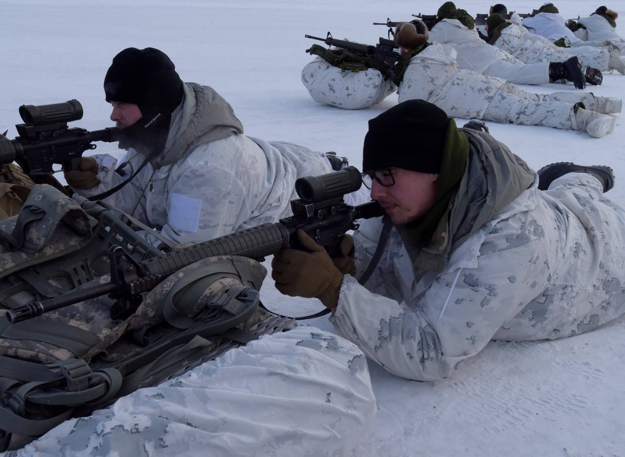 Arctic exercise