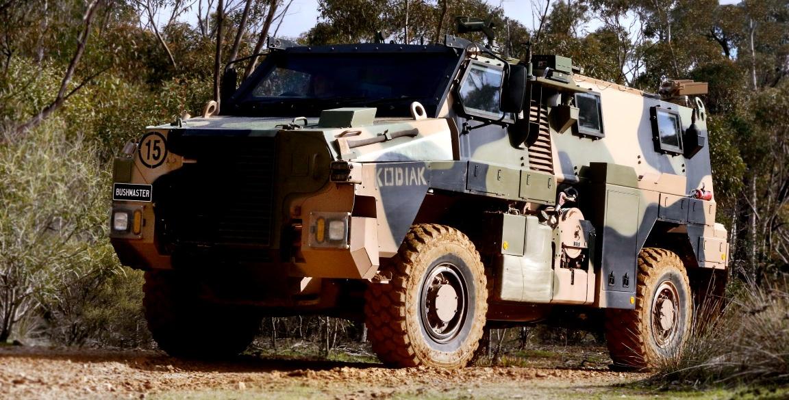 Bushmaster