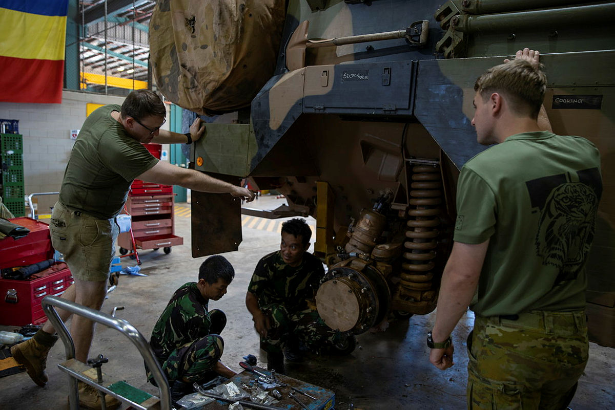 Indonesia bushmaster