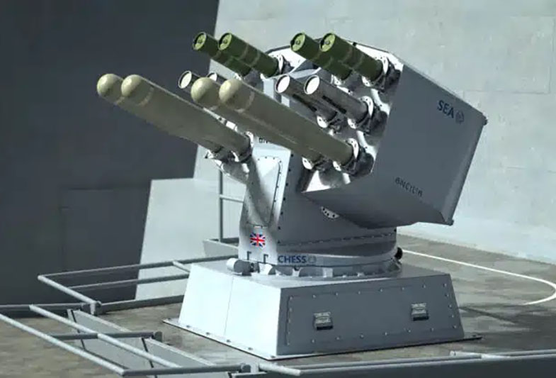 Decoy Launching System