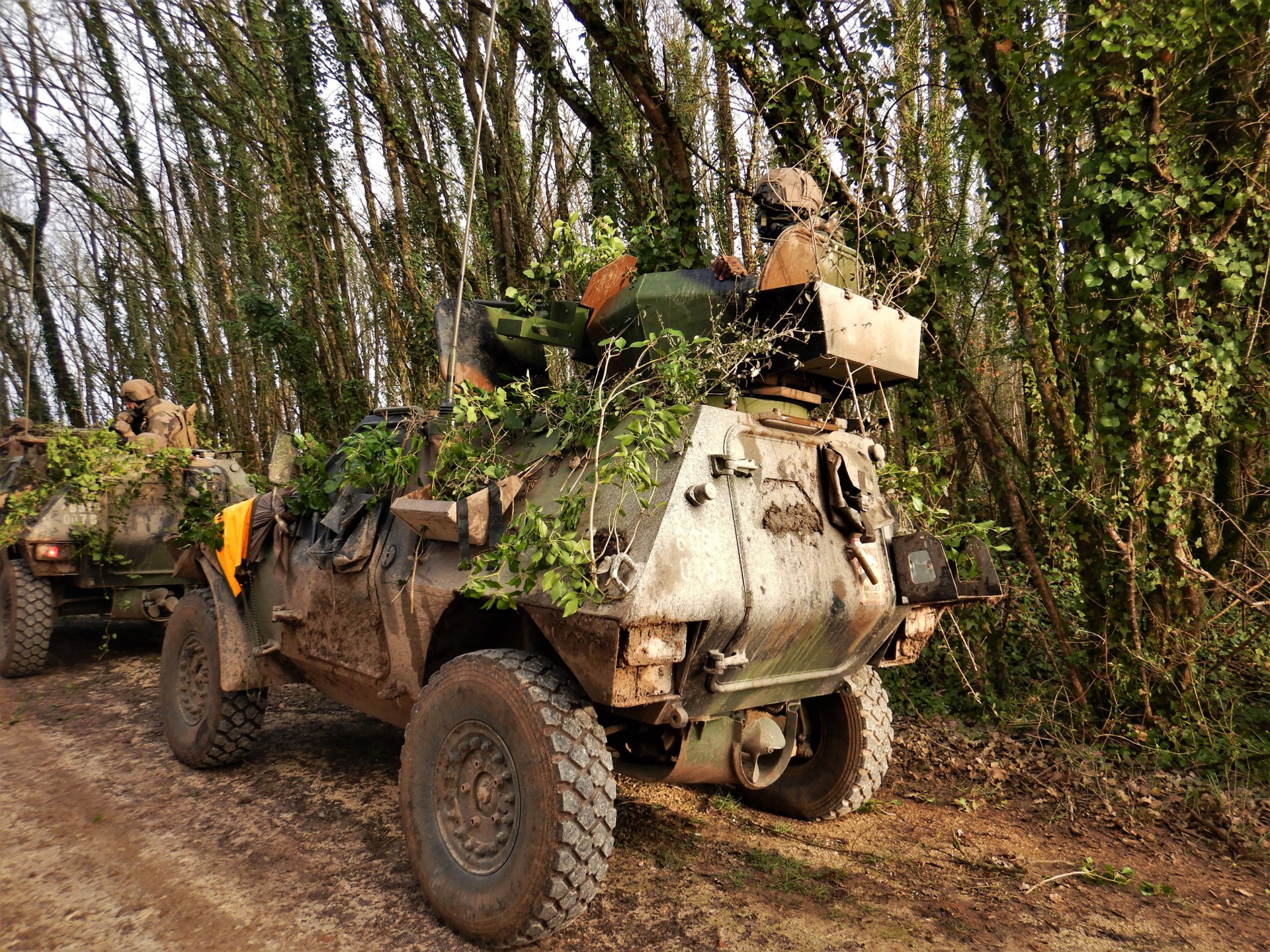 Refurbished light armored vehicles (VBL-R)