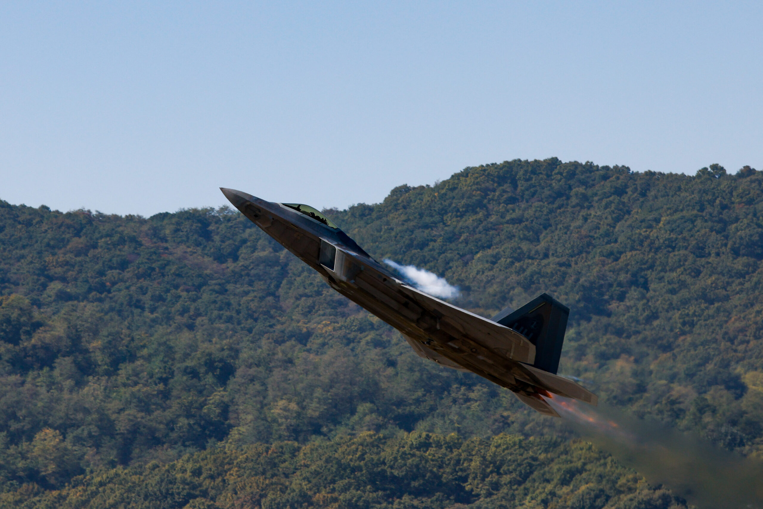 F-22 Raptor