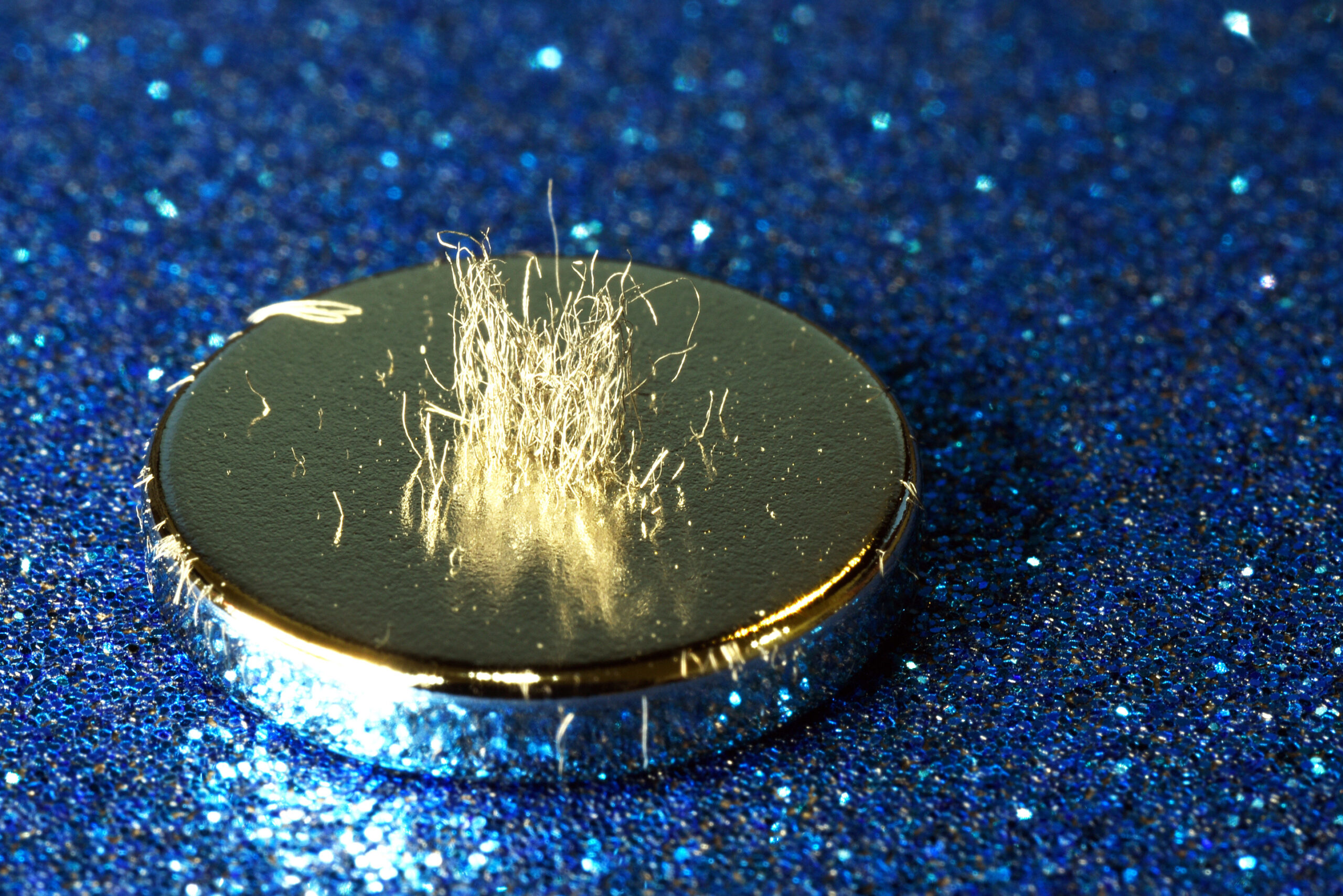 Metal shavings stand vertically atop a rare earth magnet