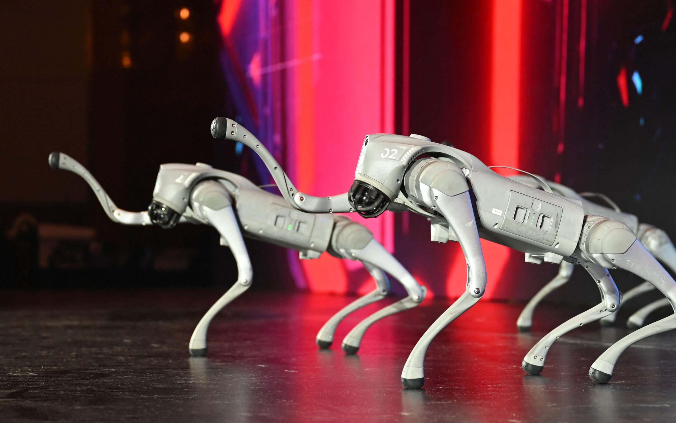 Chinese robot dogs