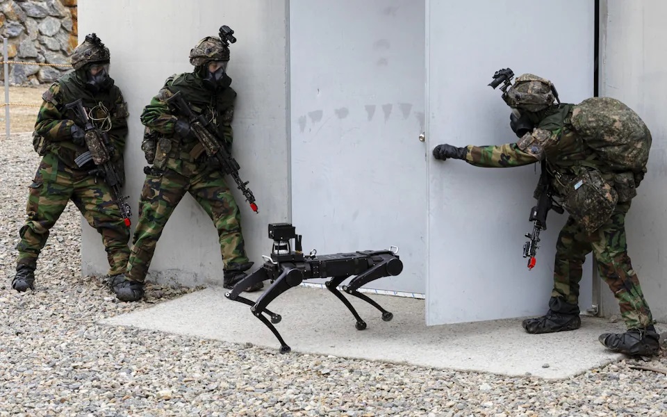 robot dog