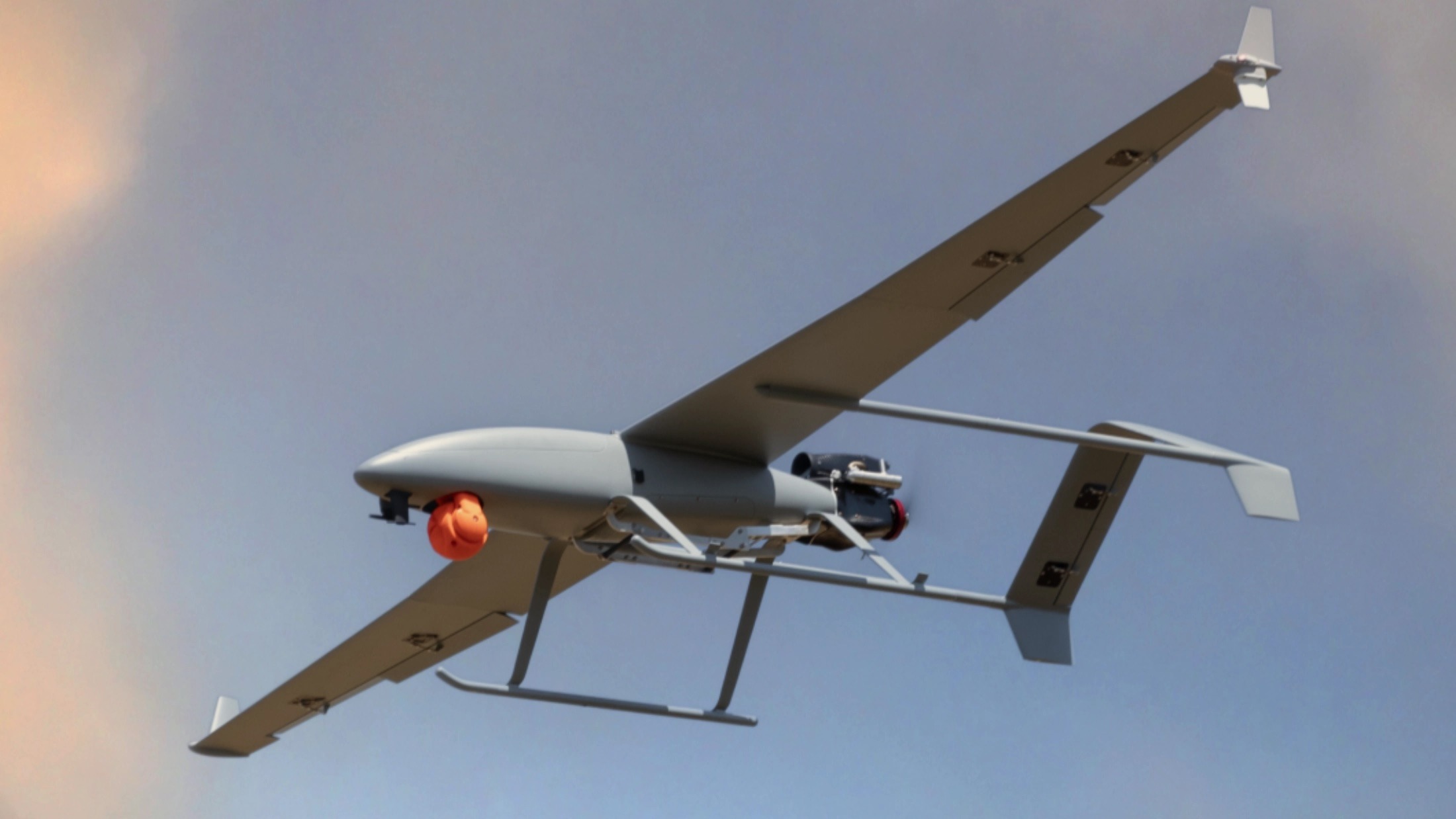 Fregata drone