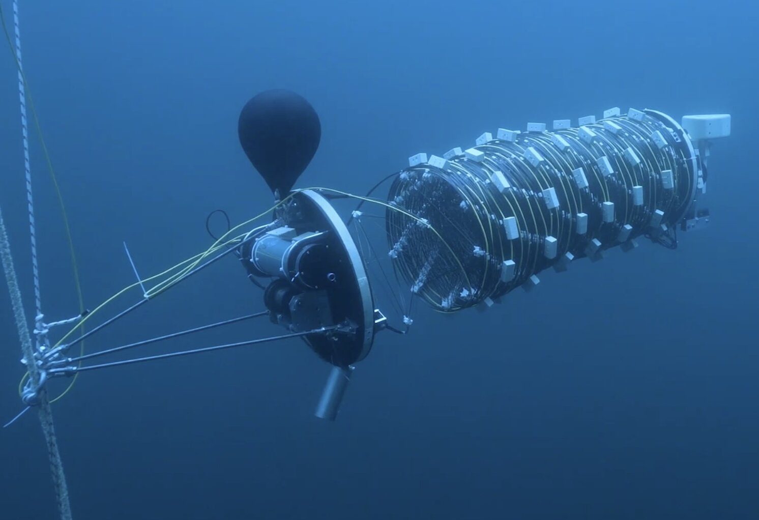Sea Spear